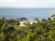 Экологическое волонтерство в Карибских островах