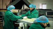 Рабочие На Фабрику Сортировки Овощей и Фруктов в Польше