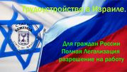 Трудоустройство в Израиле для граждан России и Белоруссии